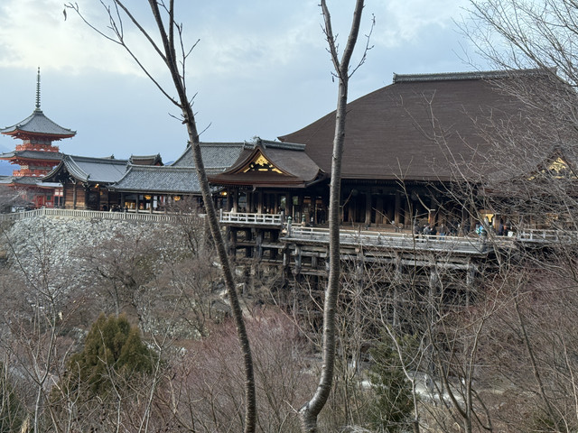 IMG-1849.jpg