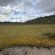 IMG 4747