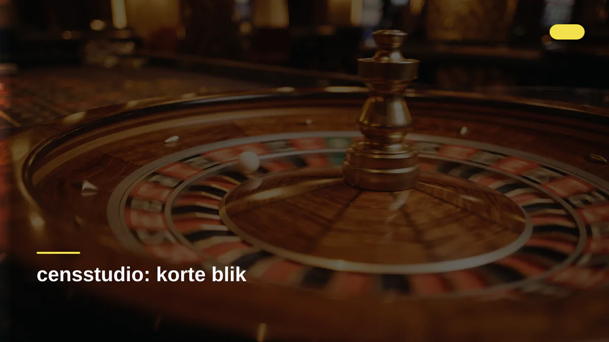 censstudio: korte blik