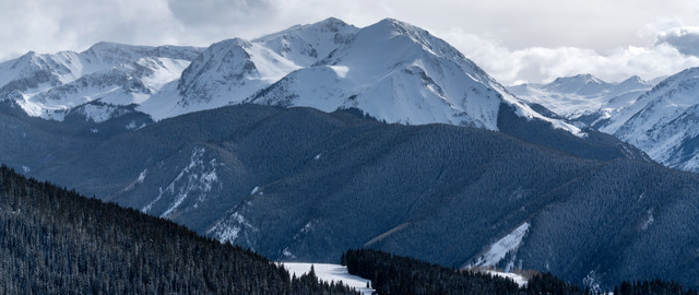 aspen