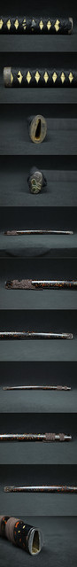 DSC2505.jpg