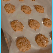IMG 1733.gif