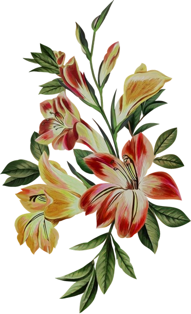 27e664ff51c317bf2bb8dda32b539503.png