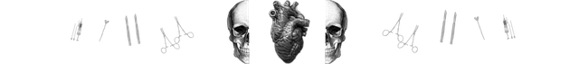 Skull-Human-heart-divider