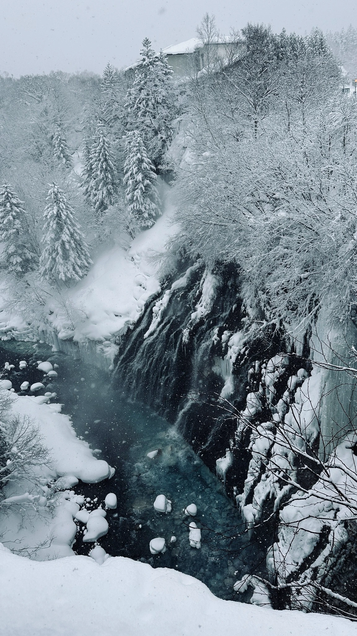 Biei