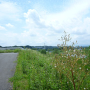 P1330227