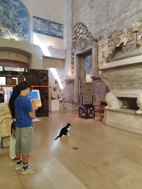 Algarve y algo mas - Blogs - Sabado 8 de Agosto. Lisboa (14)