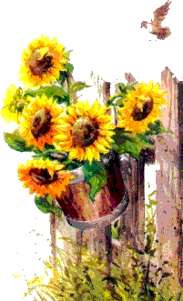 zonnebloemen25.gif