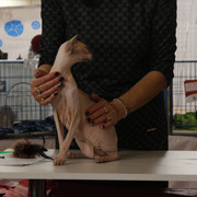 IMG 0813