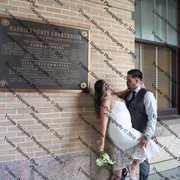 IMG 4503