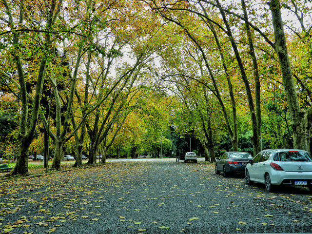 DSCN5016.jpg