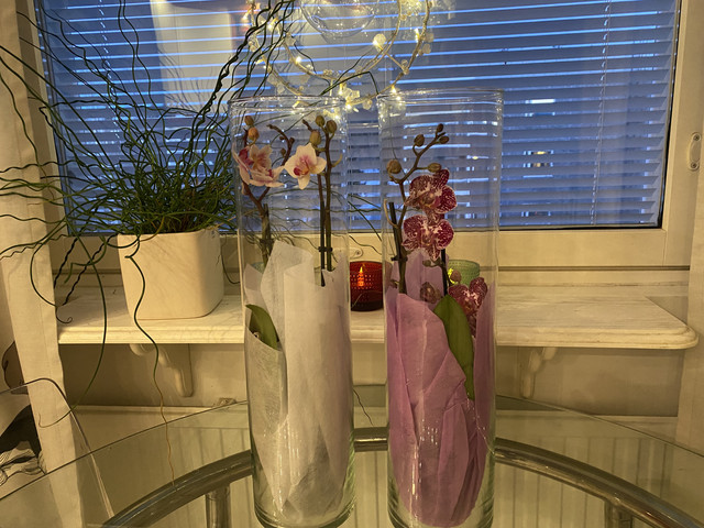 FF2654-A5-FD44-4-B4-D-BC35-572-BE65-AAF5