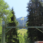 IMG 1837