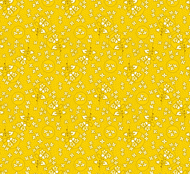 171.jpg