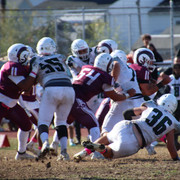 IMG-5004