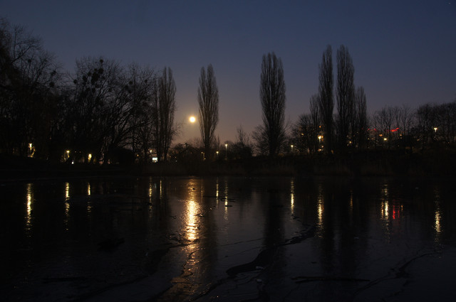 DSC06558