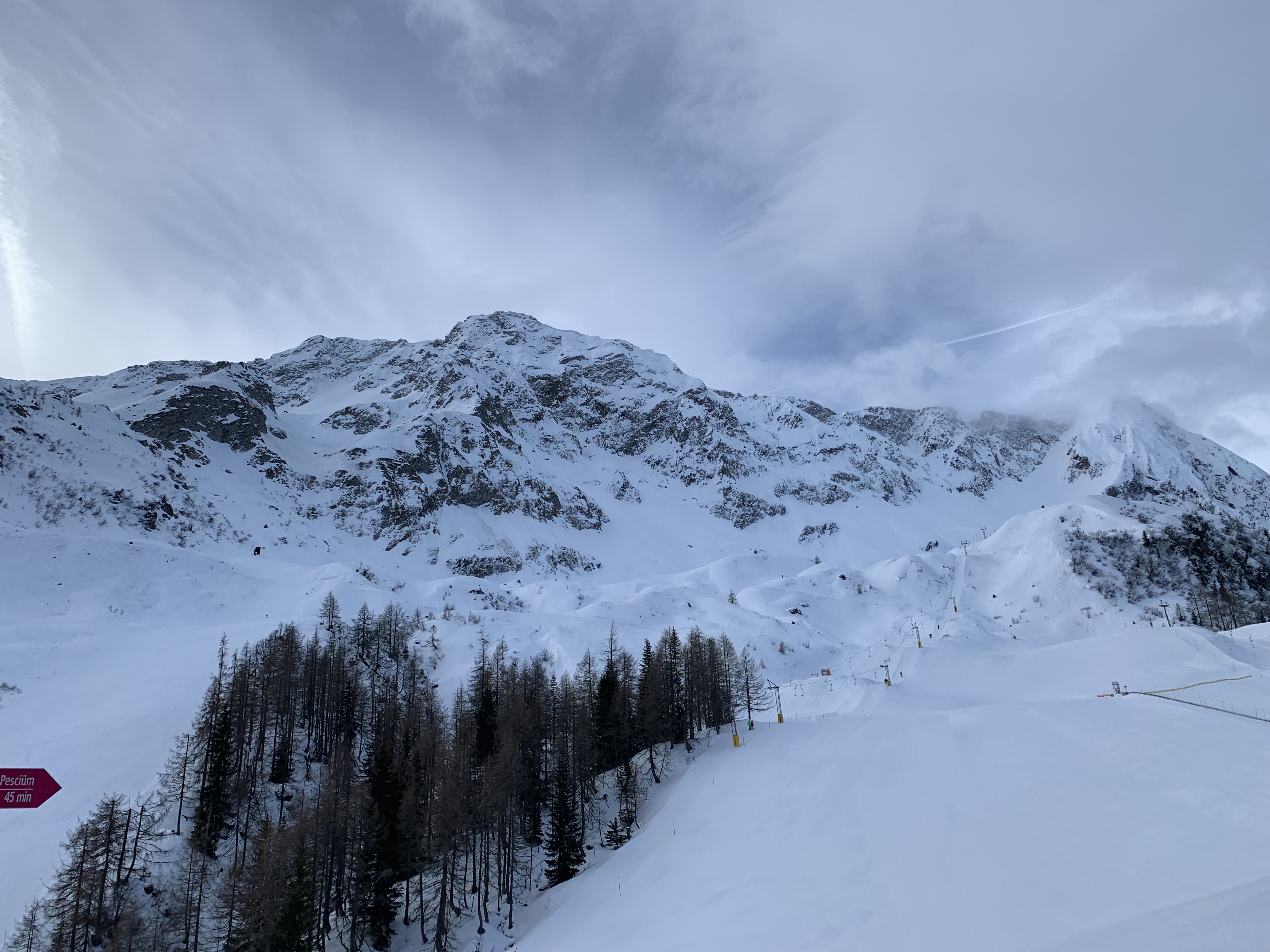 IMG-0742.jpg