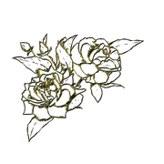 MS-gold-element-71