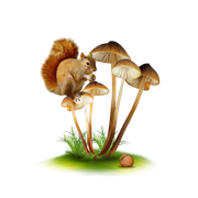 0-a510f-7ffcf49-orig