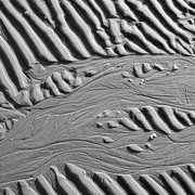 IMGP0544bw
