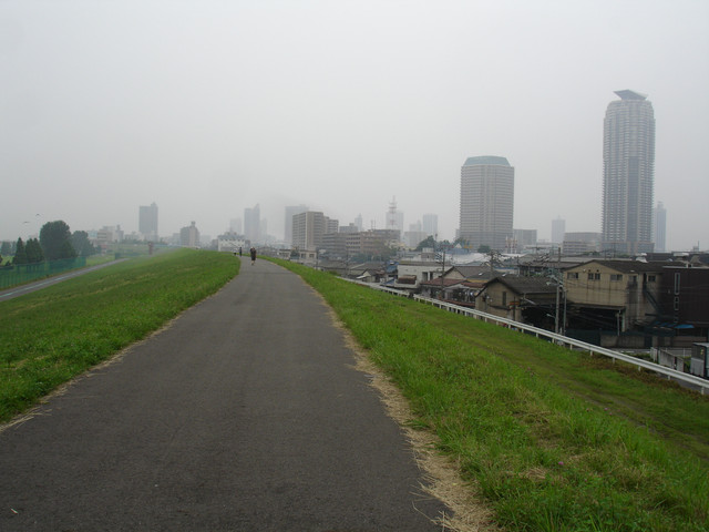 2010-07-01-077