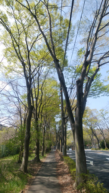DSC-0062