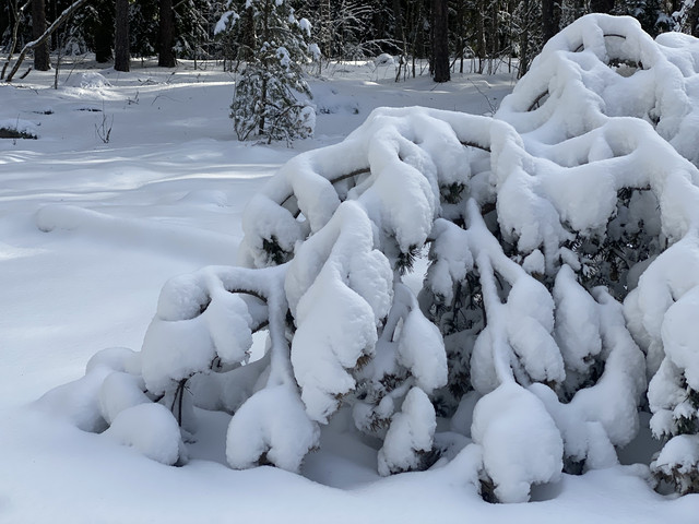 3-F685-FF7-800-D-4-EBA-A727-F81-CADD5193