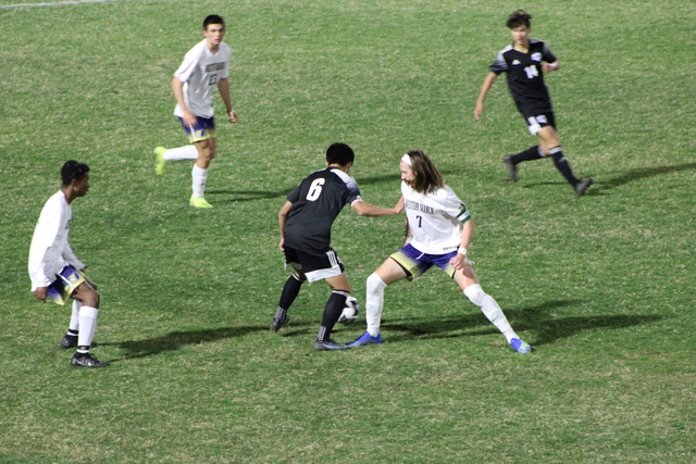 IMG-0081