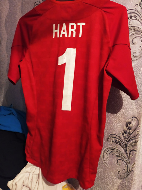 england-GK-Hart3