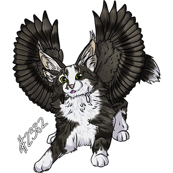Pet Image