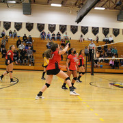 IMG-0218