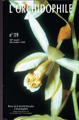 orchido119.jpg?042148