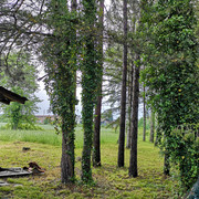 IMG-20230520-183646