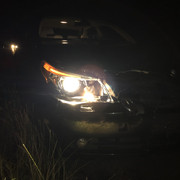 IMG-2010.jpg