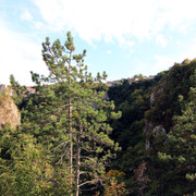 IMG-9640