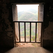IMG-1421