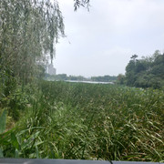 IMG20200714124717
