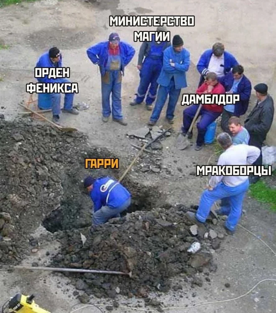 8033583.png