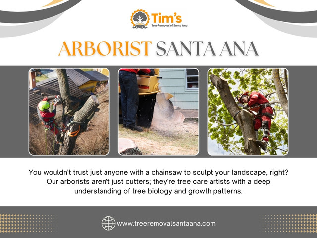Whether it’s a quick Tree Trimming Santa Ana Emergency response or a detailed evaluation from an Arborist Santa Ana, early action usually prevents larger problems from developing.

Tim’s Tree Removal of Santa Ana

Address: 3620 S Bristol St, Suite 331, Santa Ana, CA 92704 USA
Phone: +16575533248
Working Hours: 24/7
Find Us On Google Maps: https://maps.app.goo.gl/2wGm7YN58npPA4ea6

Read Our Blogs:
https://treeremovalsantaana.weebly.com/
https://treeremovalsantaana.jimdofree.com
https://medium.com/@treeremovalsantaana/

More Links:
https://linktr.ee/treeremovalsantaana
https://www.buzzfeed.com/treeremovalsantaana
https://vimeo.com/treeremovalsantaana
