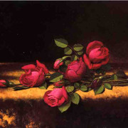 Jaqueminot-Roses2