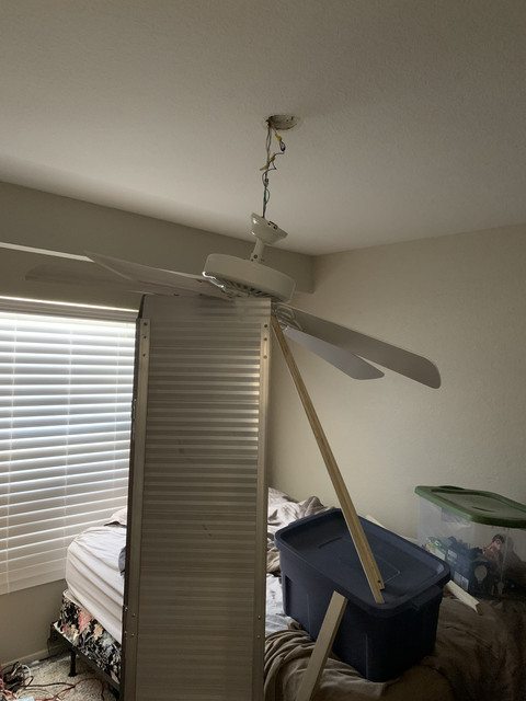 IMG 3601 ceiling fan
