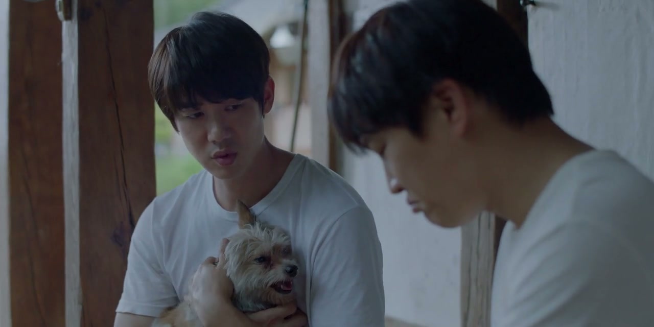 My Heart Puppy Screenshot
