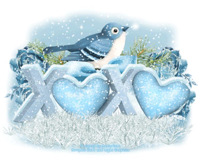XOXOwinter DLG