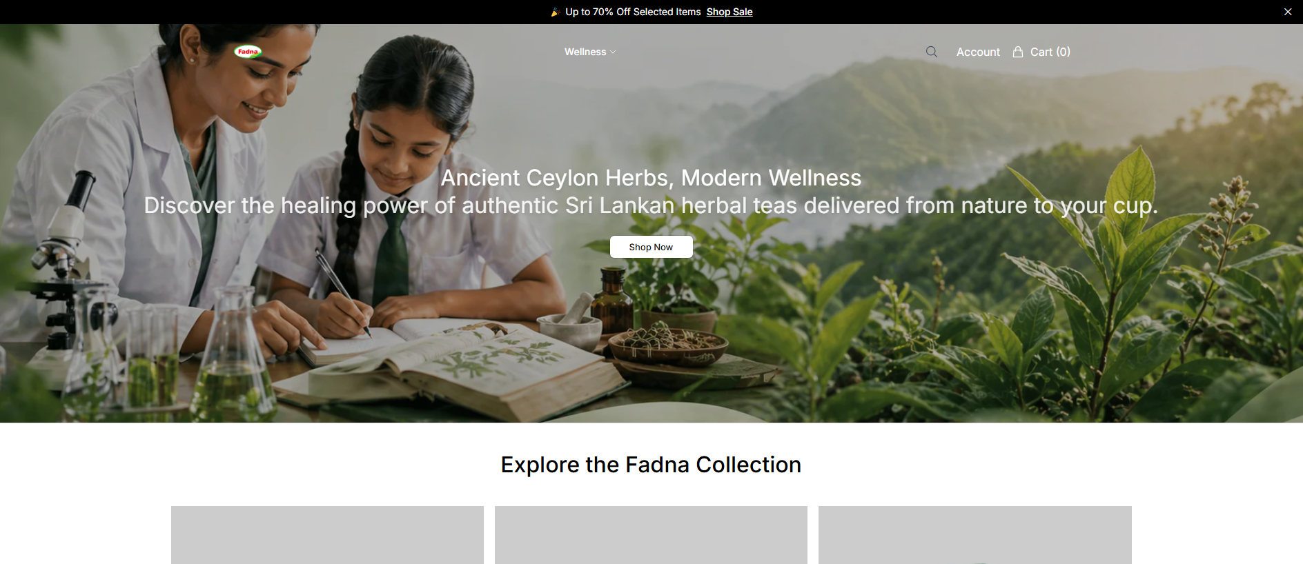 Stored capture of adna.shop