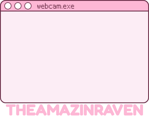 Webcam Frame