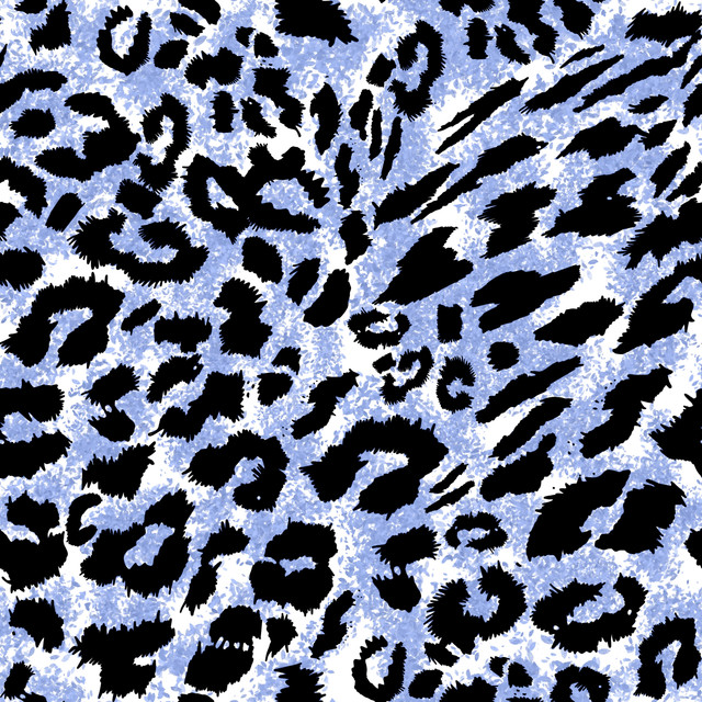 shutterstock 2279826369.jpg
