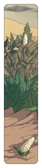 Corn field