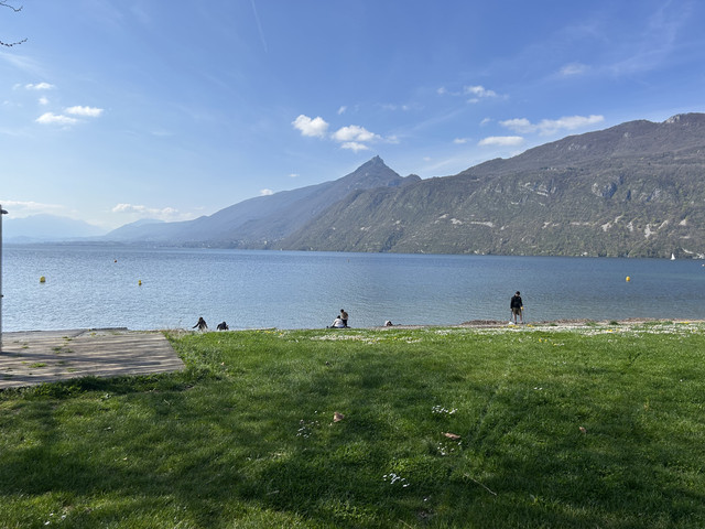 IMG-3541