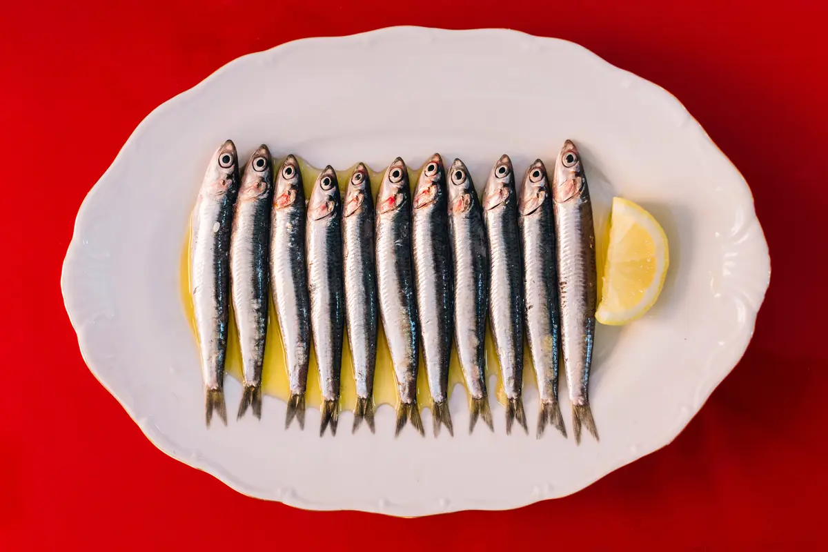Sardines: The Unlikely Skin Care Superfood