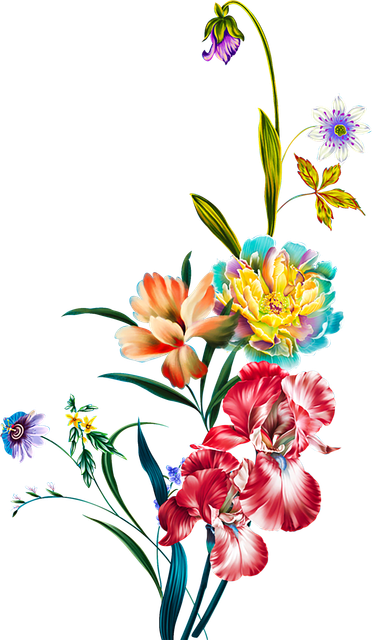 b5b1179c4d81c19da7233b908877e8af.png